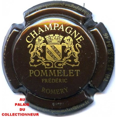 POMMELET Frédéric 02 LOT N°11593