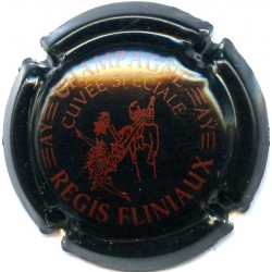 FLINIAUX REGIS 040c LOT N°13191