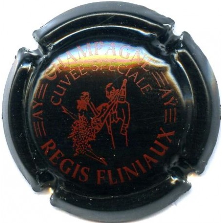 FLINIAUX REGIS 040c LOT N°13191