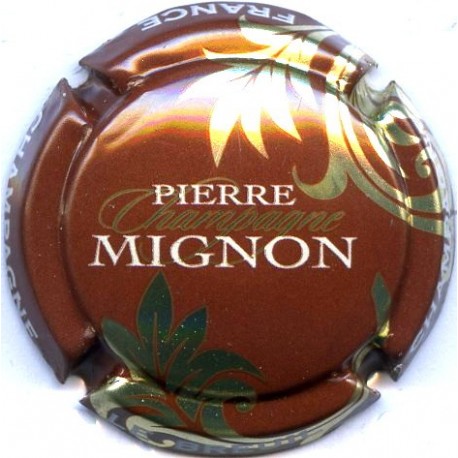 MIGNON PIERRE 061l LOT N°13264