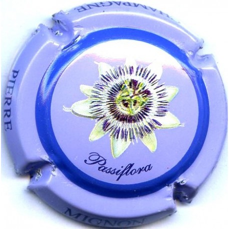 MIGNON PIERRE 087 LOT N°13417