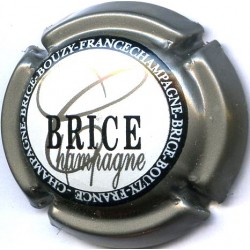 BRICE 15 LOT N°13683