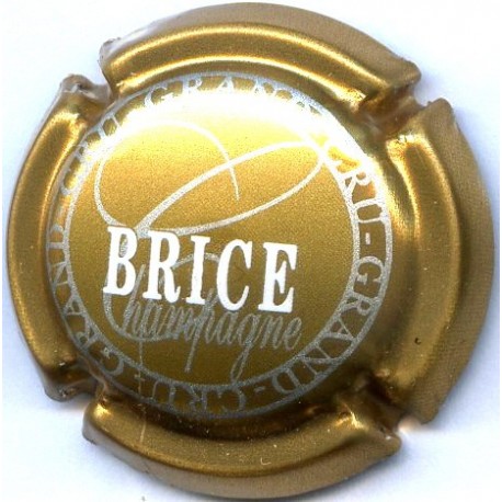 BRICE 16 LOT N°13684