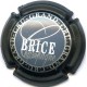 BRICE 17 LOT N°13685