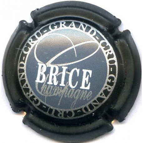 BRICE 17 LOT N°13685