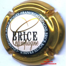 BRICE 18 LOT N°14638