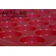 .Plateaux plastique rouge rondes avec couvercles X10 LOT N°M77
