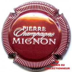 MIGNON PIERRE 100g LOT N°18184