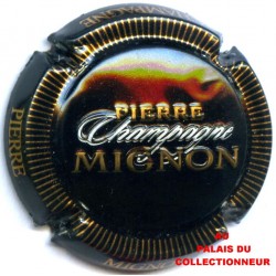 MIGNON PIERRE 100j LOT N°18187