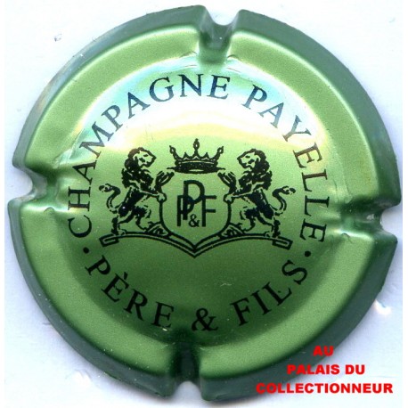 PAYELLE P. & F. 03 LOT N°18701