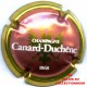 CANARD DUCHENE 052 LOT N°1164