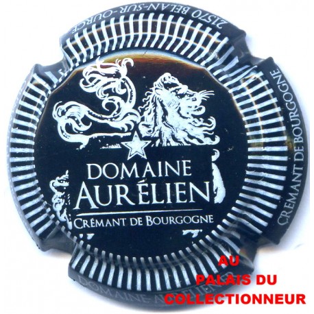 03 DOMAINE AURELIEN 01 LOT N°1703