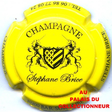 BRICE STEPHANE 01 LOT N°5083