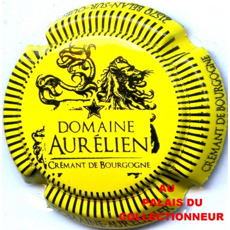 03 DOMAINE AURELIEN 05 LOT N°5438