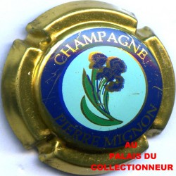 MIGNON PIERRE 017 LOT N°P0162