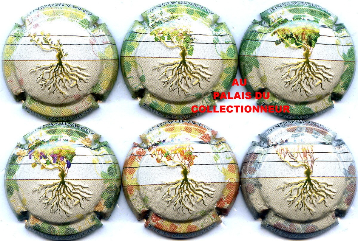 CAPSULE DE CHAMPAGNE BONVILLE*
