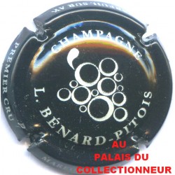 BENARD PITOIS 10 LOT N°20133