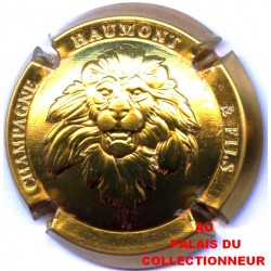 HAUMONT ET FILS 04 LOT N°20703 