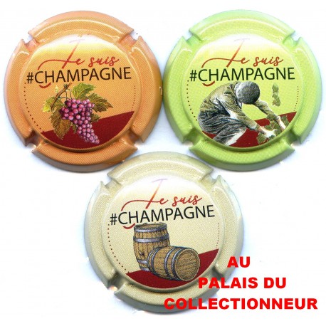 CHAMPAGNE 1985S LOT N°21087