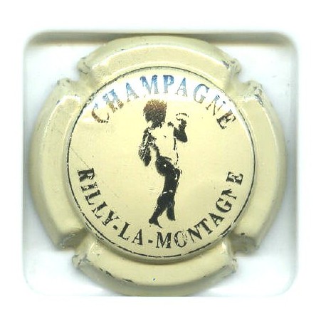 RILLY LA MONTAGNE005 LOT N°4485