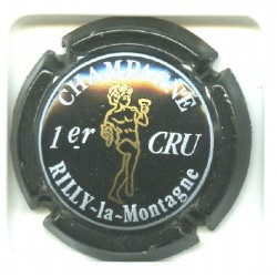 RILLY LA MONTAGNE111 LOT N°4494