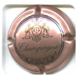 SANGER25 LOT N°4688