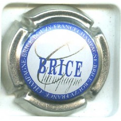 BRICE10 LOT N°5039