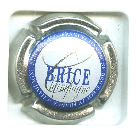 BRICE10 LOT N°5039