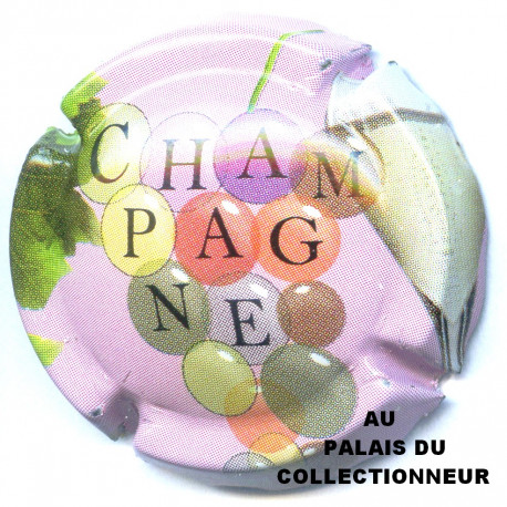 CHAMPAGNE 0904 LOT N°10228