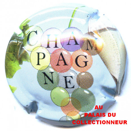 CHAMPAGNE 0904a LOT N°10232