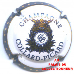 COLLARD PICARD 01 LOT N°16474