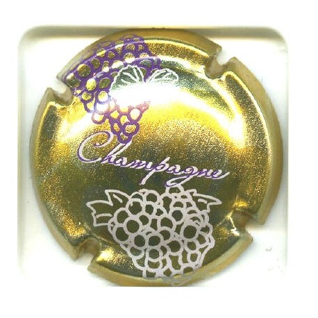 CHAMPAGNE0685 LOT N°5257