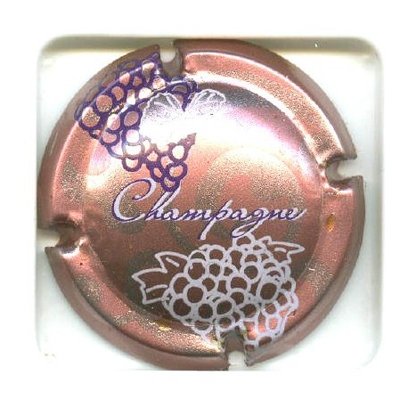 CHAMPAGNE0686 LOT N°5258