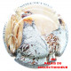 CHAMPAGNE 0932b LOT N°16486