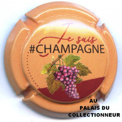 CHAMPAGNE 1990a LOT N°30282