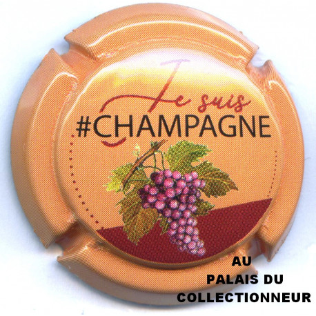 CHAMPAGNE 1990a LOT N°30282
