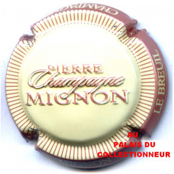 MIGNON PIERRE 100m LOT N°F13