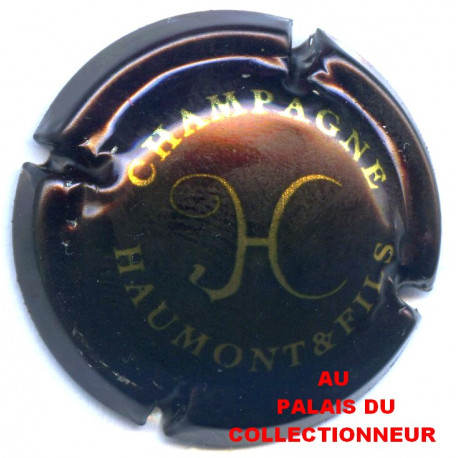 HAUMONT ET FILS 02 LOT N°21944