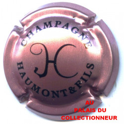 HAUMONT ET FILS 02a LOT N°21945