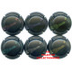 CHAMPAGNE 2040 S LOT N°22039
