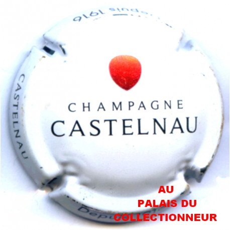 DeCASTELNAU 11 LOT N°22561