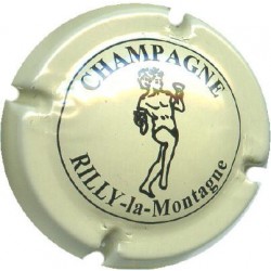 RILLY LA MONTAGNE016 LOT N°6350