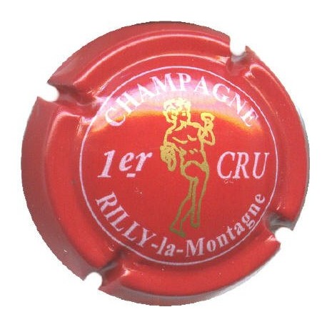 RILLY LA MONTAGNE128 LOT N°6356