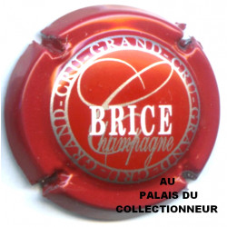 BRICE 16 LOT N°14638