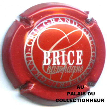 BRICE 16 LOT N°14638