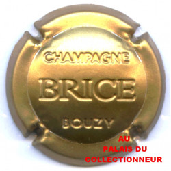 BRICE 18a LOT N°22626