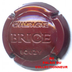 BRICE 20b LOT N°22629