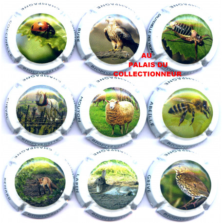 CHAMPAGNE 2088 S LOT N°23261