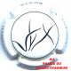 VINCENT LAMOUREUX 12 LOT N° 0615