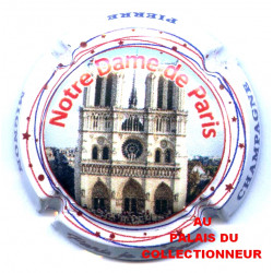 MIGNON PIERRE 201g LOT N°23771